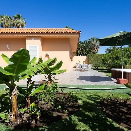 Finca La Gaviota - Los Limoneros Icod De Los Vinos Esterno foto