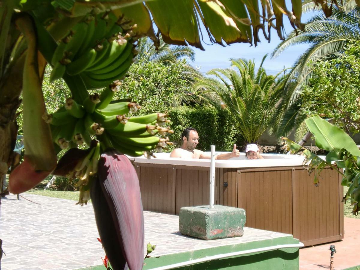 Finca La Gaviota - Los Limoneros Icod De Los Vinos Esterno foto