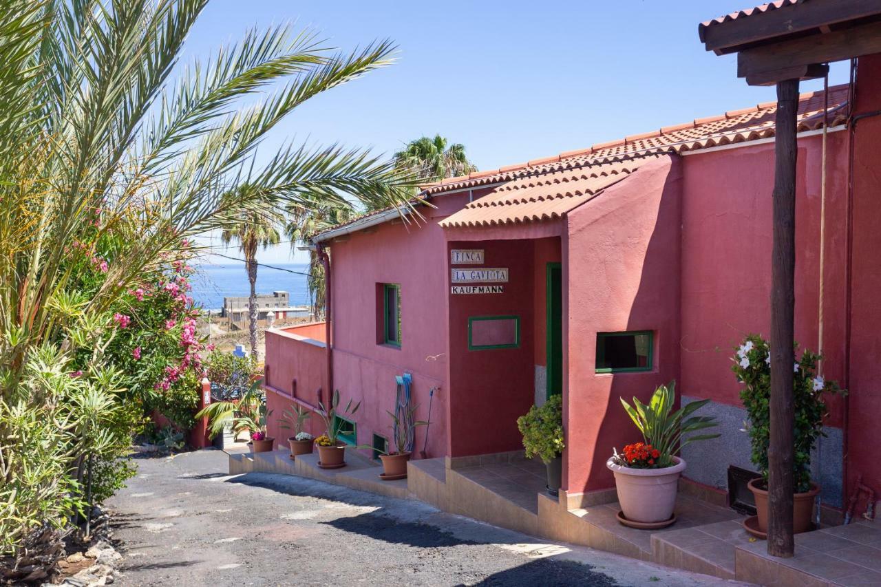 Finca La Gaviota - Los Limoneros Icod De Los Vinos Esterno foto